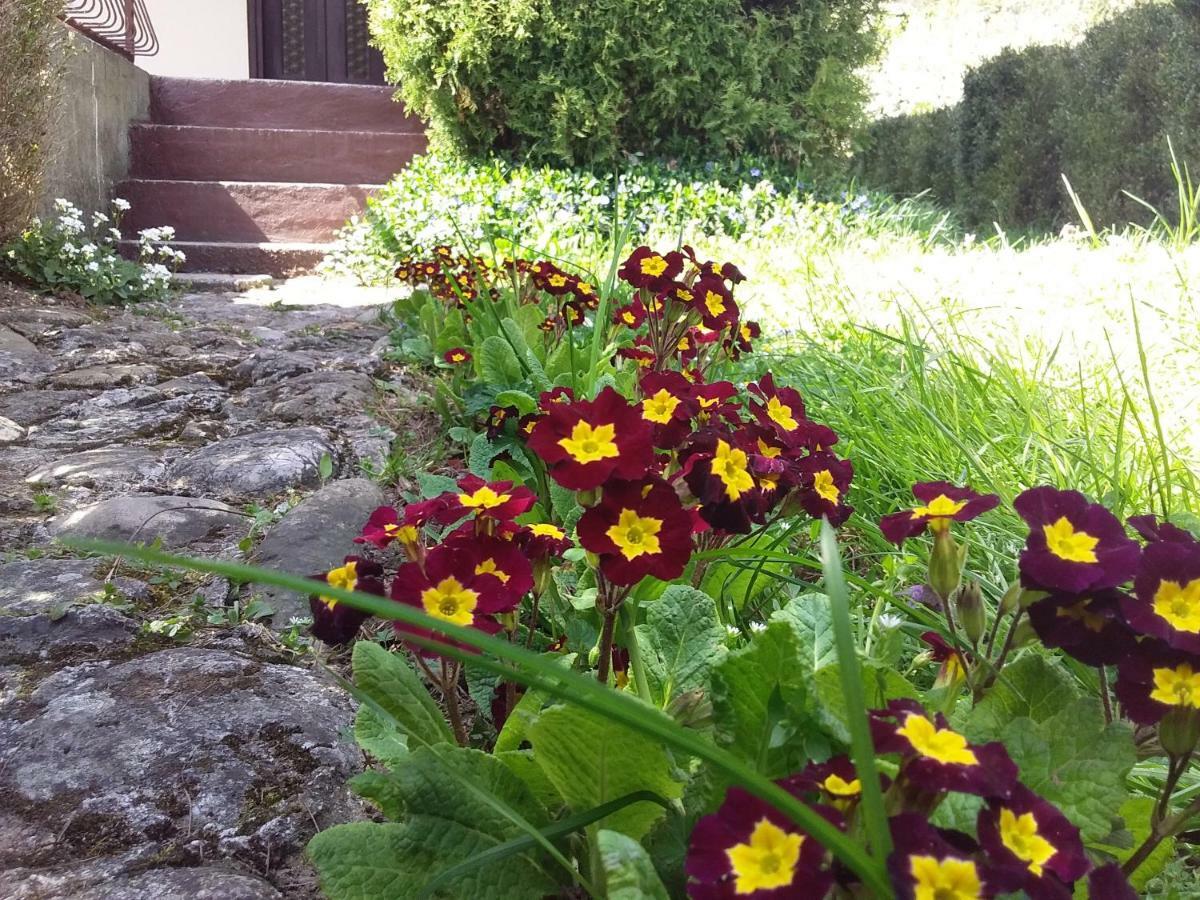 Tammaris Holiday Home Visoko Exterior foto